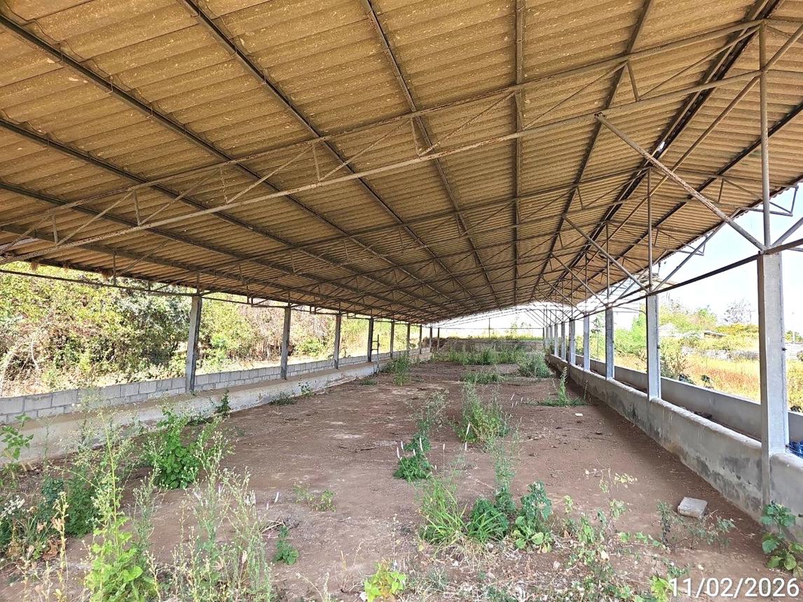 รูป โกดัง 4409 ตร.วา เมืองเพชรบูรณ์ เพชรบูรณ์ 12.4M - รูปที่ 33/45