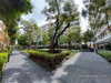 listing thumbnail image 10