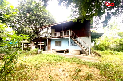 ขายที่ดิน : ขายที่ดิน 48ตร.ว.พร้อมสิ่งปลูกสร้าง ซอยสุดบรรทัด 5 แก่งคอย สระบุรี 