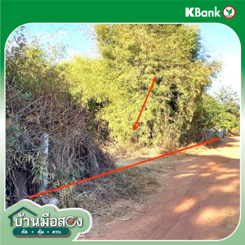 รูป ที่ดินว่างเปล่า 257 ตร.วา พรรณานิคม สกลนคร 332,000 - รูปที่ 11/13