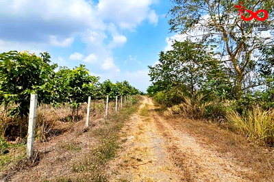 ที่ดิน นครนายก : ขายที่ดิน 367 ตร.วา คลอง 23 องครักษ์ นครนายก