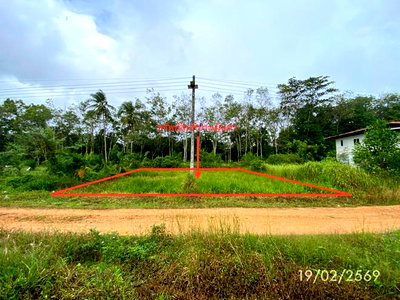 ขายที่ดิน : ที่ดินว่างเปล่า 76.7 ตร.วา รัตภูมิ สงขลา 384,000
