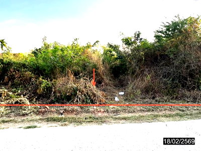 ขายที่ดิน : ที่ดินว่างเปล่า 149 ตร.วา หนองกุงศรี กาฬสินธุ์ 1.2M