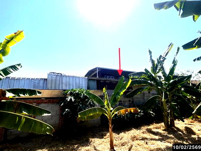 บ้านเดี่ยว ขอนแก่น : บ้านเดี่ยว 150 ตร.วา น้ำพอง ขอนแก่น 969,000