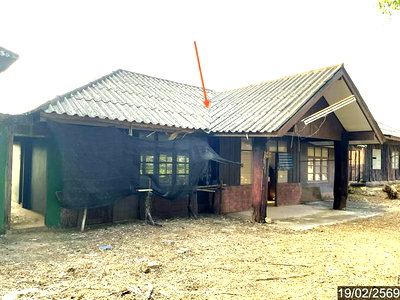 บ้านเดี่ยว เชียงราย : บ้านเดี่ยว 1457 ตร.วา แม่จัน เชียงราย 8.1M