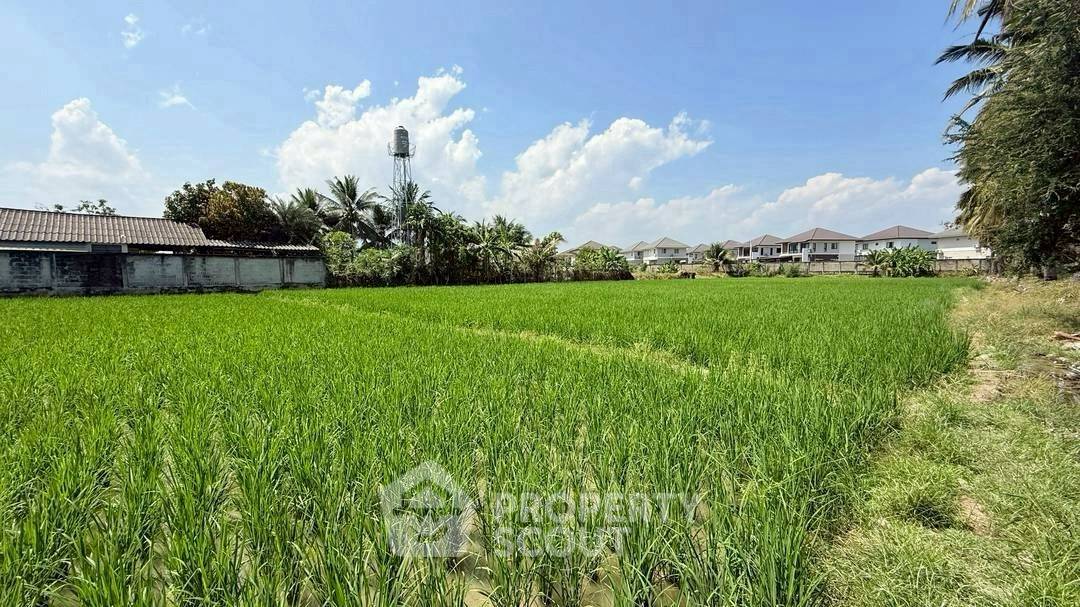 รูป ที่ดินเพื่อขาย ในหนองจอม สันทราย เชียงใหม่ (ID 2727475) - รูปที่ 4/4