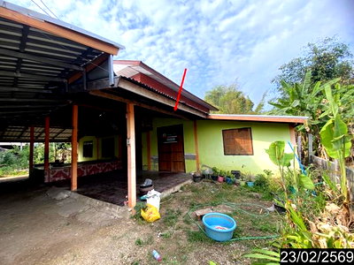 บ้านเดี่ยว วังสะพุง เลย : บ้านเดี่ยว 433 ตร.วา วังสะพุง เลย 2.2M