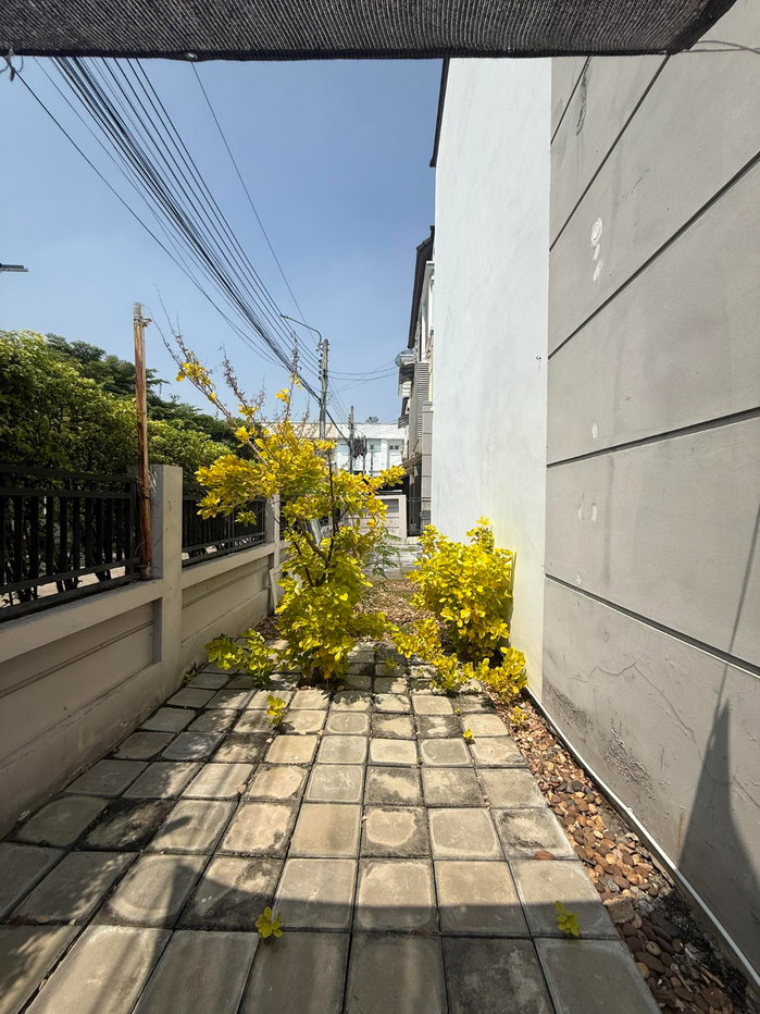 รูป ให้เช่าบ้านกลางเมือง เออร์บาเนี่ยน พระราม 9 – ลาดพร้าว 3ชั้น - รูปที่ 17/19