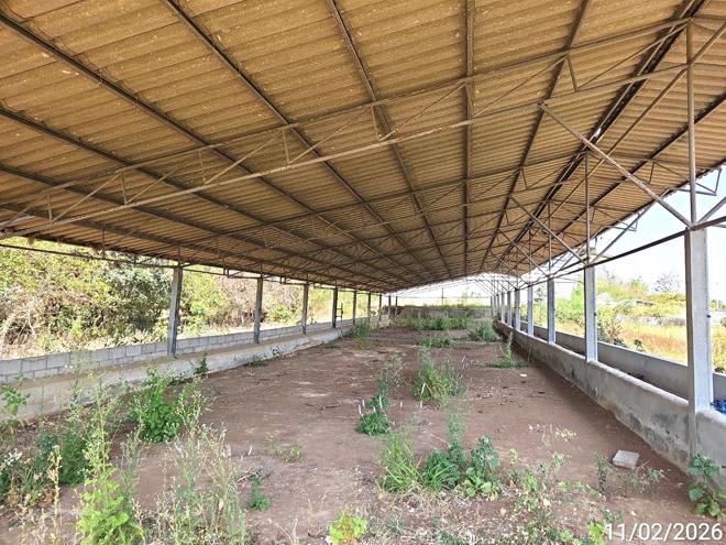 รูป โกดัง 4409 ตร.วา เมืองเพชรบูรณ์ เพชรบูรณ์ 12.4M - รูปที่ 13/45