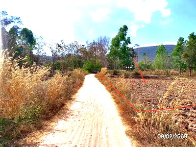 ขายที่ดิน : ที่ดินว่างเปล่า 4220 ตร.วา ภูกามยาว พะเยา 1.3M