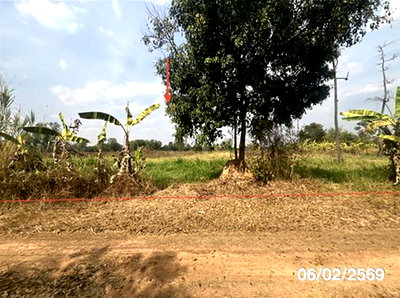 ขายที่ดิน : ที่ดินว่างเปล่า 11763 ตร.วา น้ำยืน อุบลราชธานี 4.5M