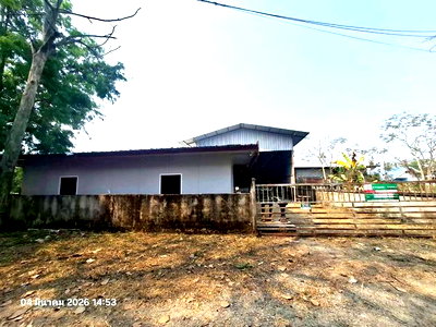 ขายโรงงาน : โกดัง 119 ตร.วา ดอยสะเก็ด เชียงใหม่ 2.2M