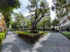 listing thumbnail image 20