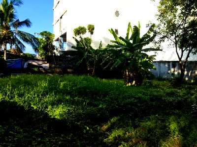 ที่ดิน สนามหลวง : LTHC6826 – Land FOR SALE in Ekkamai size 80 Sq.Wah.BTS Ekkama Station ONLY 45 MB