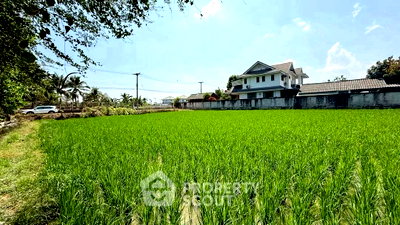 Land for sale Chiang Mai : Land For Sale In Nong Chom San Sai Chiang Mai (ID 2727475)