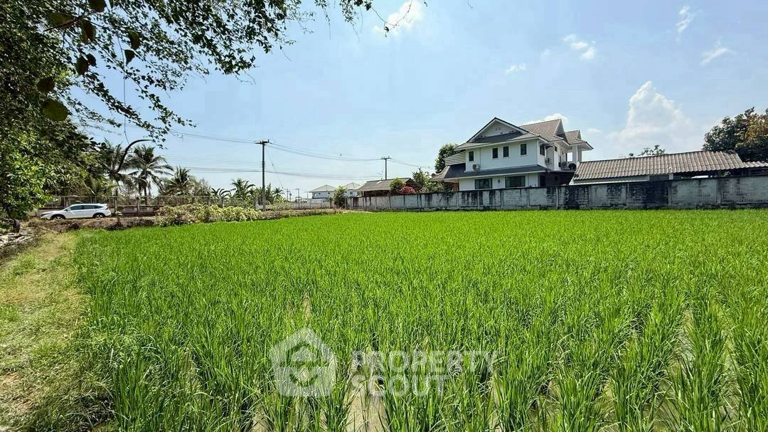 รูป ที่ดินเพื่อขาย ในหนองจอม สันทราย เชียงใหม่ (ID 2727475) - รูปที่ 1/4