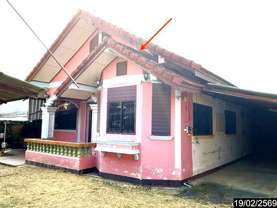 บ้านเดี่ยว เชียงราย : บ้านเดี่ยว 400 ตร.วา แม่สาย เชียงราย 5.5M