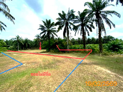 ขายที่ดิน : ที่ดินว่างเปล่า 482.8 ตร.วา เหนือคลอง กระบี่ 927,000