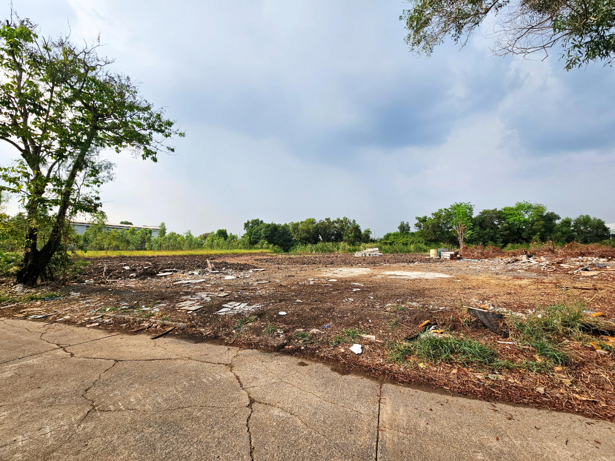 รูป ขาย ที่ดินเปล่า 6 ไร่ คลอง 3 อ.คลองหลวง ปทุมธานี ถมแล้ว แปลงสี่เหลี่ยมสวย  - รูปที่ 3/6