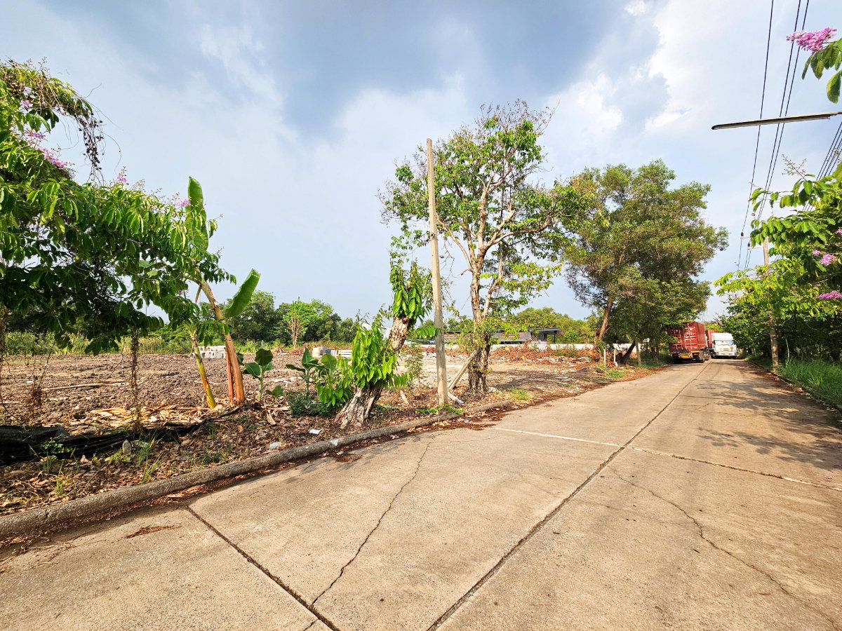 รูป ขาย ที่ดินเปล่า 6 ไร่ คลอง 3 อ.คลองหลวง ปทุมธานี ถมแล้ว แปลงสี่เหลี่ยมสวย  - รูปที่ 6/6