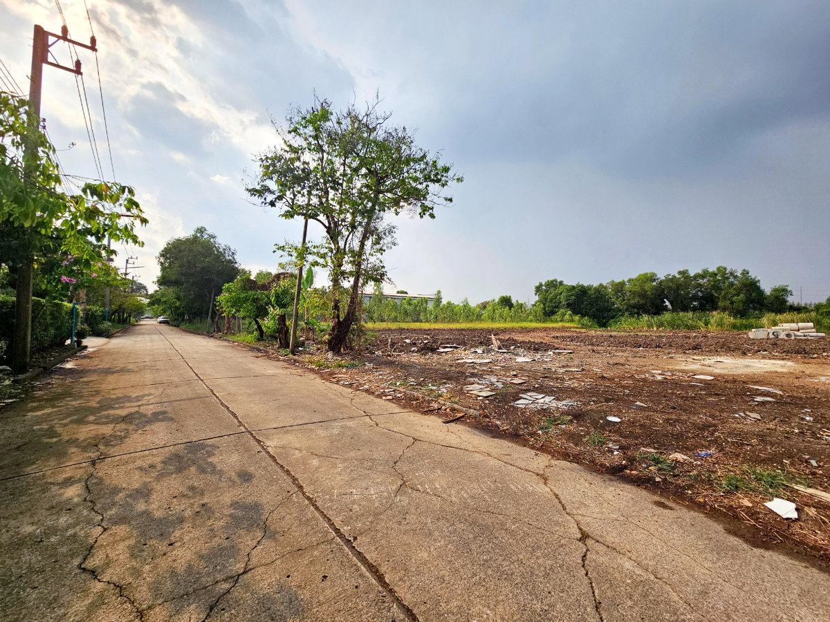 รูป ขาย ที่ดินเปล่า 6 ไร่ คลอง 3 อ.คลองหลวง ปทุมธานี ถมแล้ว แปลงสี่เหลี่ยมสวย  - รูปที่ 4/6