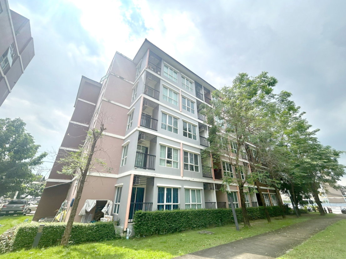 รูป AT  1713   :     ไมอามี่ บางปู - รูปที่ 32/39
