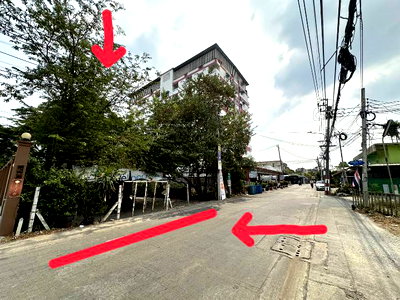 ที่ดิน เพชรเกษม 112 : ขายที่ดิน 206ตรว.ทำเลดี พิกัด บางแค เพชรเกษม หนองแขม ใกล้ อพาร์ทเม้นท์ โรงเรียน ตลาด ฯ