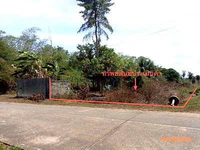 ขายที่ดิน : ที่ดินว่างเปล่า 103.7 ตร.วา เมืองตรัง ตรัง 1.2M