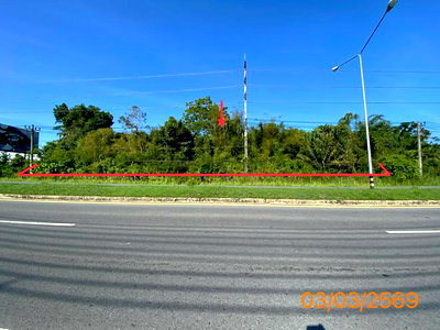 ที่ดิน ตะกั่วป่า พังงา : ที่ดินว่างเปล่า 7983 ตร.วา ตะกั่วป่า พังงา 55.2M