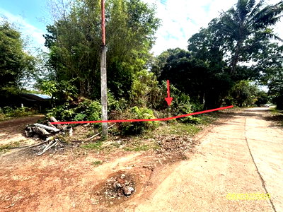 ขายที่ดิน : ที่ดินว่างเปล่า 201.7 ตร.วา พนา อำนาจเจริญ 287,000