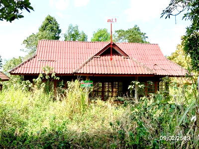 บ้านเดี่ยว เชียงราย : บ้านเดี่ยว 980 ตร.วา พาน เชียงราย 2.1M
