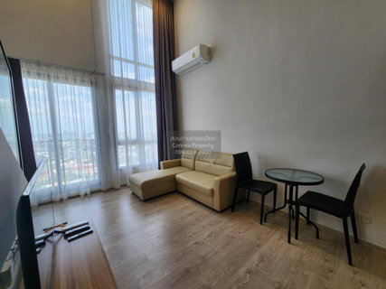 รูปภาพ 🔥🔥🔥 For Rent Condo , The Tree Pattanakarn - Ekkamai , ARL-Ramkhamhaeng , Suan Luang , Suan Luang , Bangkok , CX-100082 ✅ Live chat with us ADD LINE @connexproperty ✅ 🔥🔥🔥