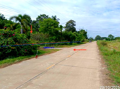 ที่ดิน ม.นเรศวร : ที่ดินว่างเปล่า 135.3 ตร.วา เมืองพิษณุโลก พิษณุโลก 913,000