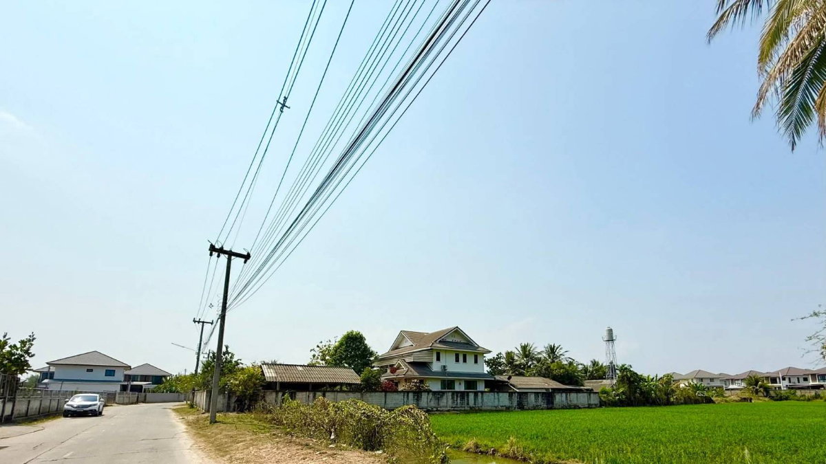 รูป ขายที่ดิน โซนสันทราย หนองจ๊อม ฟรีค่าโอน เหมาะสำหรับนำไปพัฒนา อยู่ในเขตเทศบาลเมืองแม่โจ้ - - รูปที่ 3/4