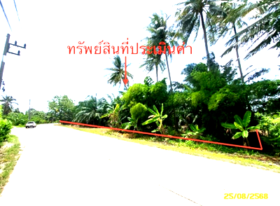 ขายที่ดิน : ที่ดินว่างเปล่า 3019 ตร.วา ดอนสัก สุราษฎร์ธานี 4.5M