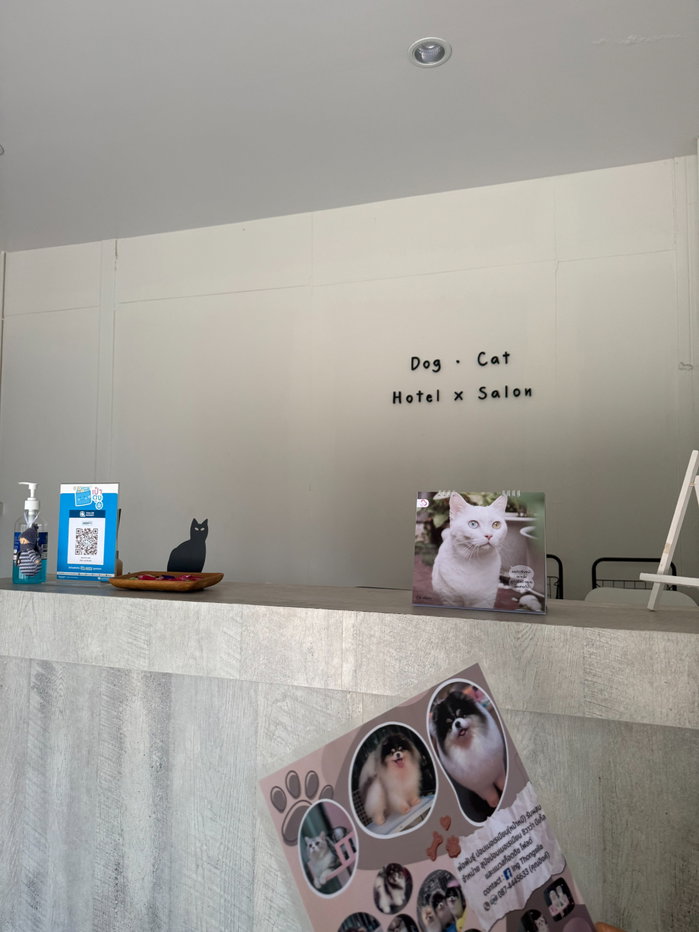 รูป เซ้งกิจการพร้อมที่ดิน โรงแรมรับฝาก-อาบน้ำตัดขน สุนัขและแมว ทำเลทอง  - รูปที่ 19/19