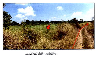 ขายที่ดิน : ที่ดินเปล่า 2916 ตร.วา อำเภอหนองเสือ จังหวัดปทุมธานี