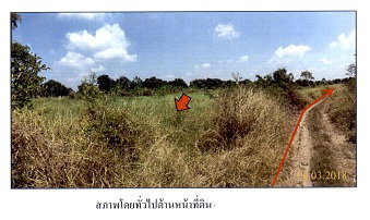 ที่ดินเปล่า 2916 ตร.วา อำเภอหนองเสือ จังหวัดปทุมธานี