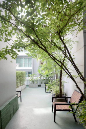picture Condo for rent : DLV Thonglor 20 ((BTS Thonglor)) MK-02 line @livingbkk - 13/13
