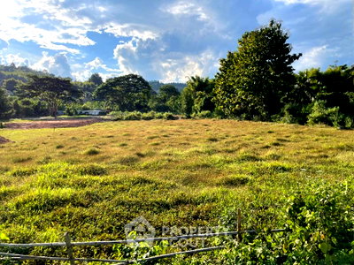 Land for sale Chiang Mai : Land For Sale In Huai Sai, Mae Rim, Chiang Mai (ID 1495369)