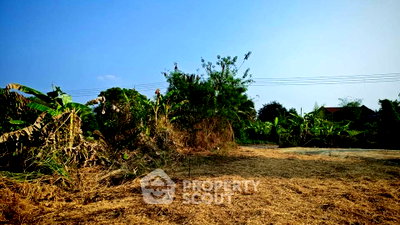 Land for sale Chiang Mai : Land For Sale 125 Sqm In Khi Lek Mae Rim, Chiang Mai (ID 2721049)