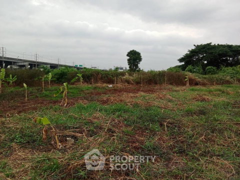 Land For Sale In Bang Kaeo, Bang Phli, Samut Prakan (ID 2751877)