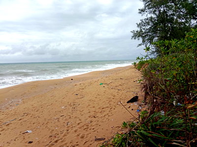 ที่ดิน ถลาง ภูเก็ต : ขายที่ดินแปลงสวยติดทะเลหาดไม้ขาว อ.ถลาง จ.ภูเก็ต พื้นที่ 15 ไร่