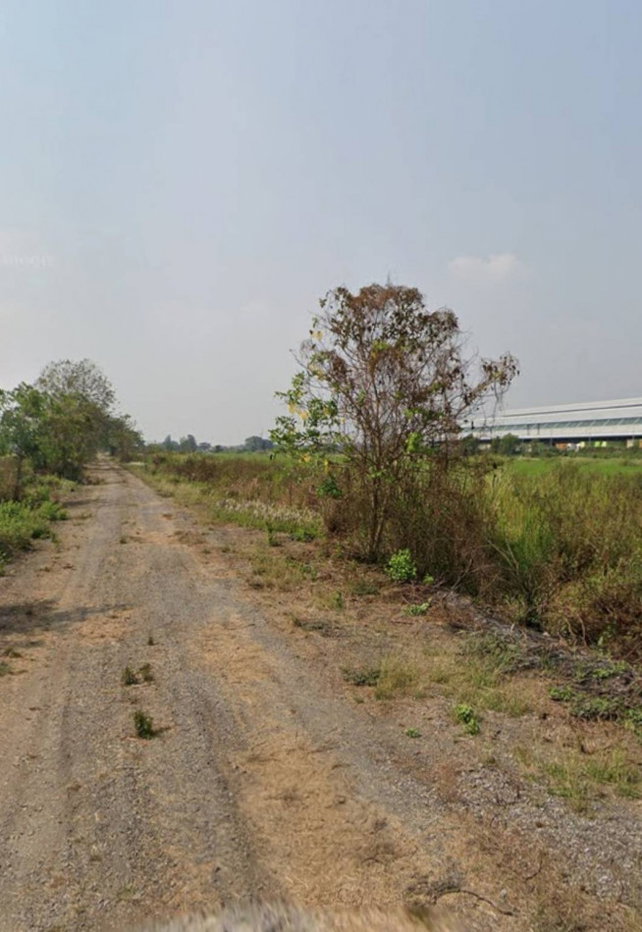 รูป ขายที่ดินคลองหกตะวันออก 34-1 คลองหลวง ปทุมธานี แปลงสวย 200 ตารางวา ใกล้คลังสินค้า Big C เหมาะสร้างหอพักหรือที่พักอาศัย - รูปที่ 2/4