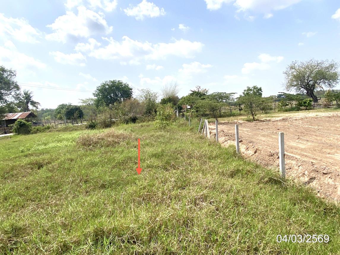รูป ที่ดินว่างเปล่า 116 ตร.วา เมืองมหาสารคาม มหาสารคาม 406,000 - รูปที่ 12/17