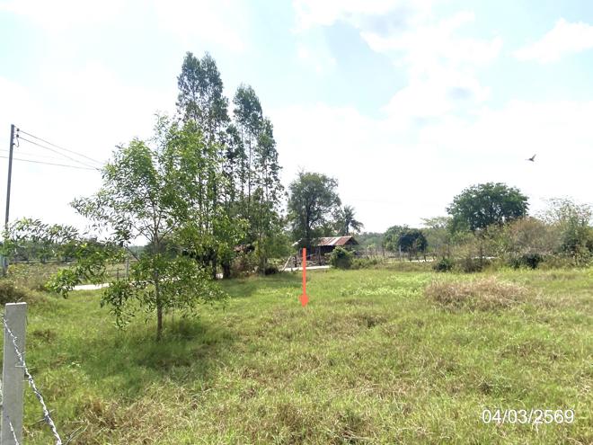 รูป ที่ดินว่างเปล่า 116 ตร.วา เมืองมหาสารคาม มหาสารคาม 406,000 - รูปที่ 7/17