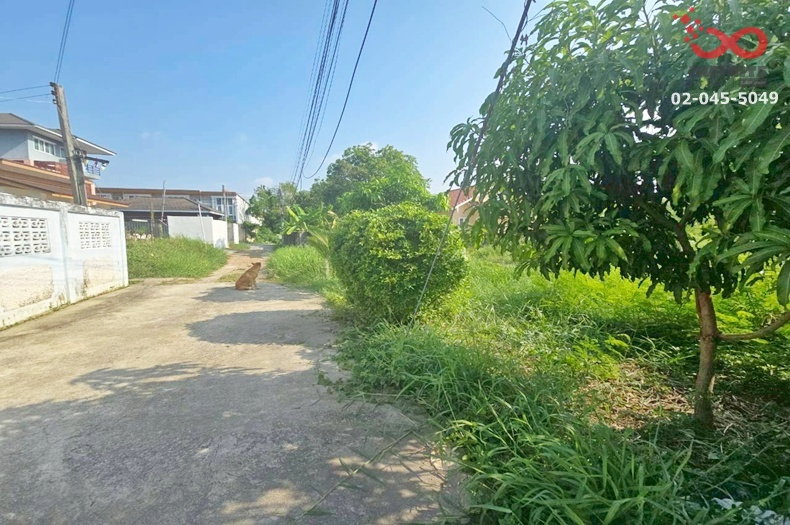 รูป ขายที่ดินเปล่าถมแล้ว 50 ตร.ว. พหลโยธิน 54 - เพิ่มสิน สายไหม  - รูปที่ 1/4