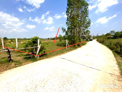 ขายที่ดิน : ที่ดินว่างเปล่า 116 ตร.วา เมืองมหาสารคาม มหาสารคาม 406,000