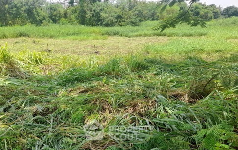 ที่ดินขาย โคกแฝด หนองจอก กรุงเทพฯ 🌍 (ID 2745922)