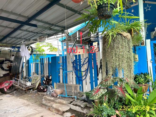 รูป ทาวน์เฮ้าส์ 29.8 ตร.วา ณัฏฐพล คลองหลวง ปทุมธานี 1.7M - รูปที่ 2/15